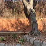 Rez De Jardin De Hyères