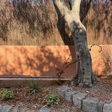 Rez De Jardin De Hyeres