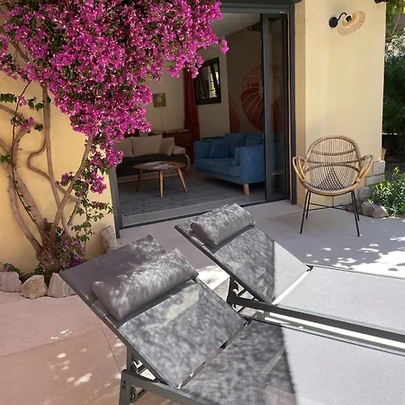 Rez De Jardin De Apartment