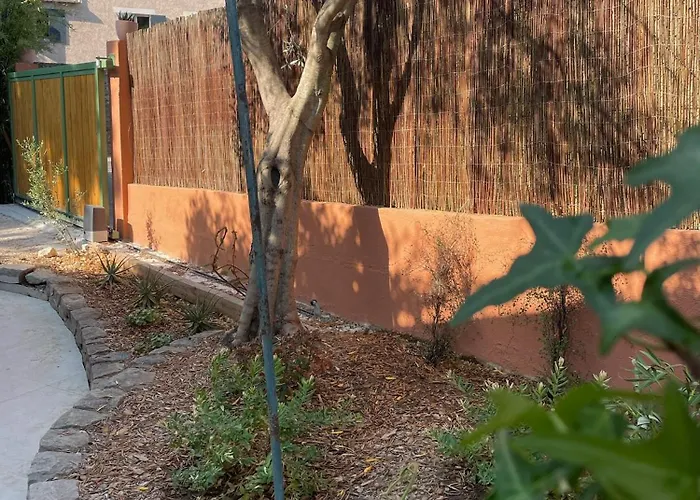 Rez De Jardin De Lejlighed